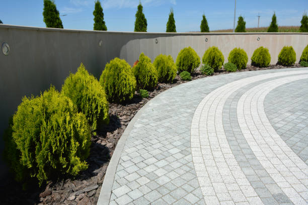 Best Driveway Paving Company  in Three Oaks, MI